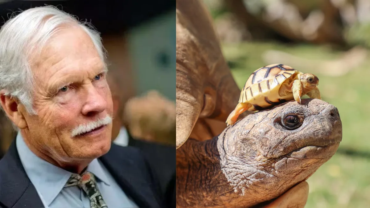 CNN founder Ted Turner’s ranch helped save a rare tortoise from extinction