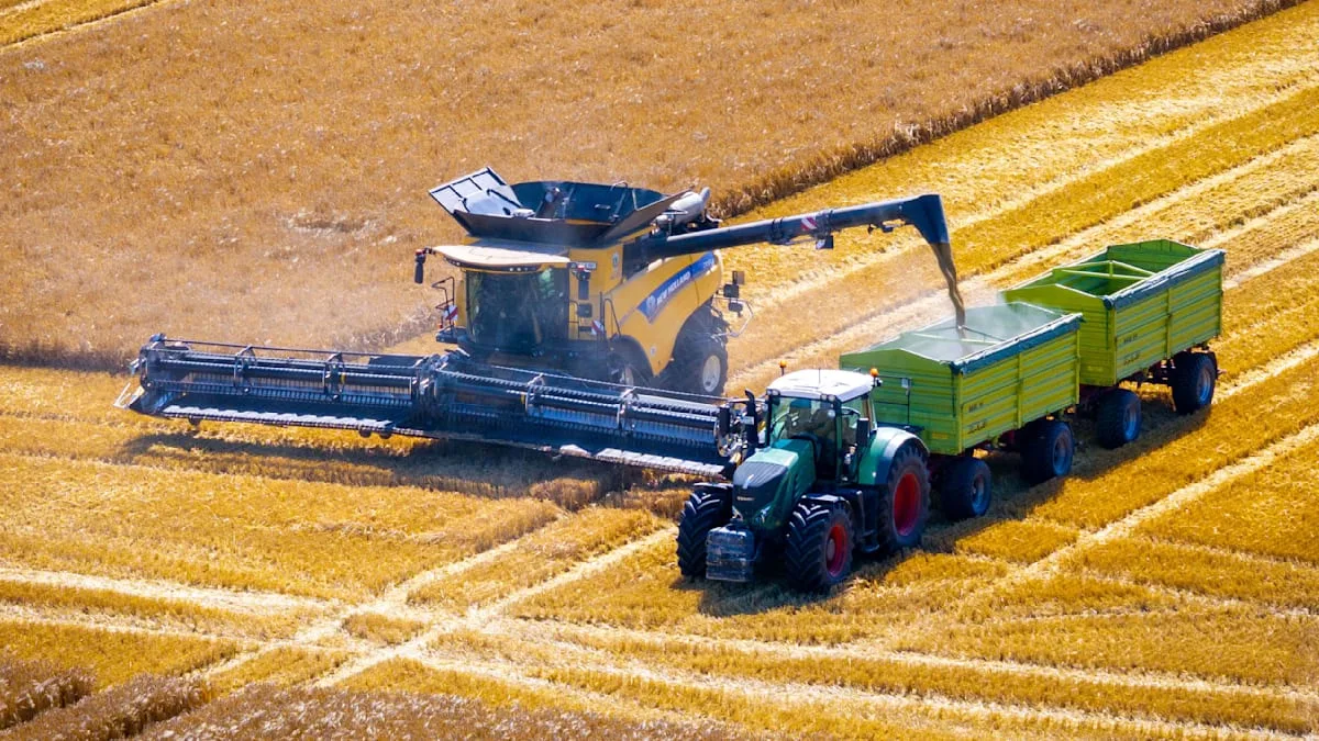 Sieben Prozent weniger als im Vorjahr – Bauernverband zieht ernüchternde Erntebilanz