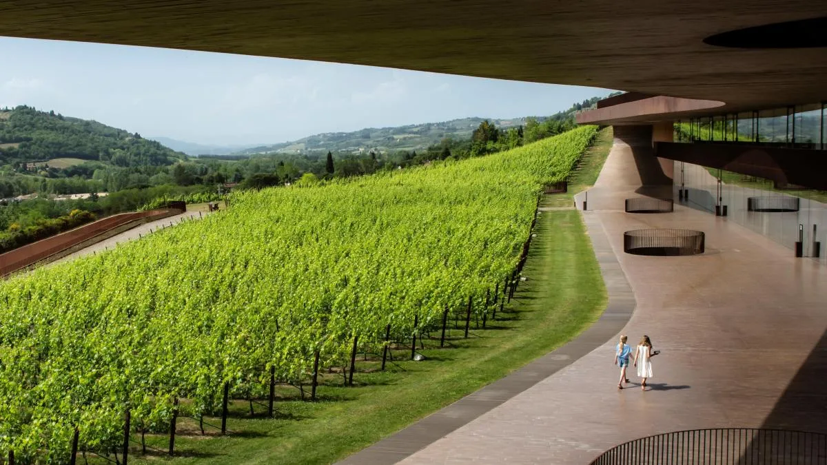 Roban 30.000 botellas de vino en la Toscana con un valor de más de 5 millones de euros
