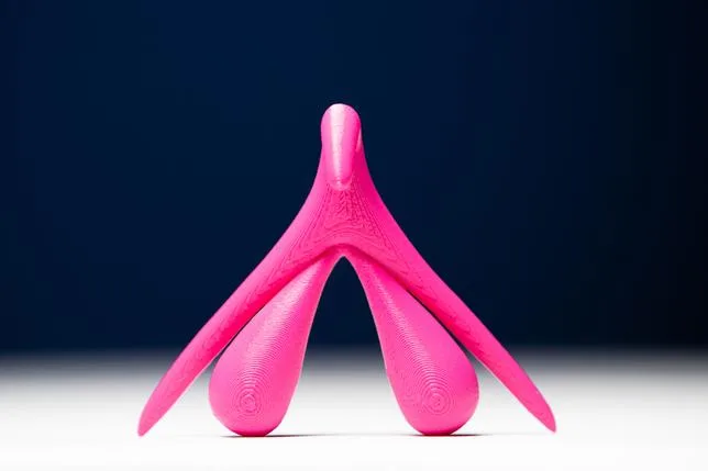 Nerfs du clitoris, “point G” du pénis : de nouvelles études font la lumière sur nos organes génitaux