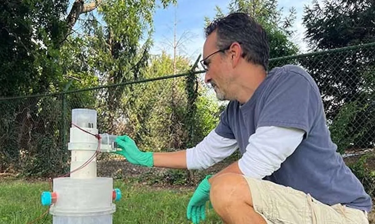 Uma “sanita para mosquitos” encontrou vírus nunca antes detetados nas Américas