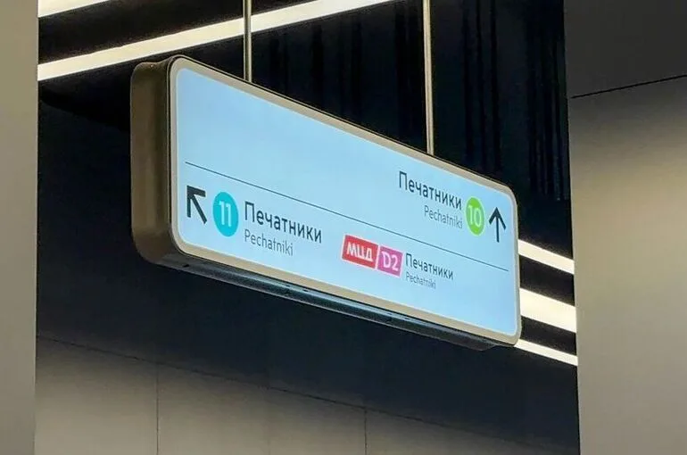 Полицейские в Москве прошли 6 км в тоннеле метро для задержания мужчины