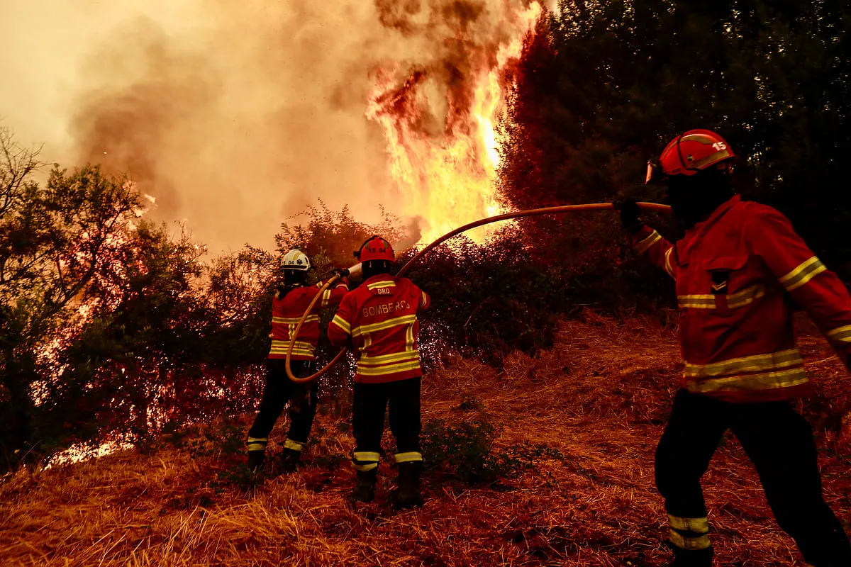 Mais de mil bombeiros combatem quatro fogos na região Norte