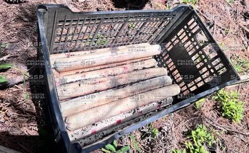 Localizan 19 cartuchos explosivos en comunidad de Tamazula, Durango; aseguran uniformes de camuflaje