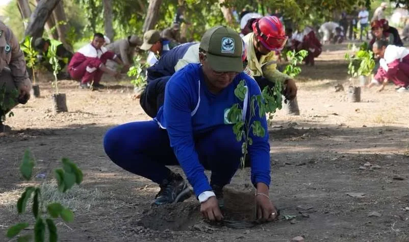 Sembraron 2.000 árboles en riberas del río Neverí en Anzoátegui