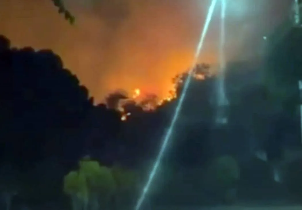 Incêndio em vegetação assusta moradores de Aracruz