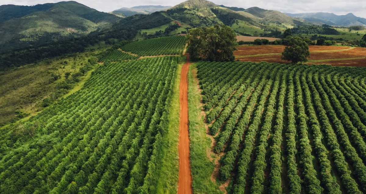 Banco do Brasil (BBAS3) em alerta: Pedidos de recuperação judicial no agronegócio saltam 22%, aponta Serasa