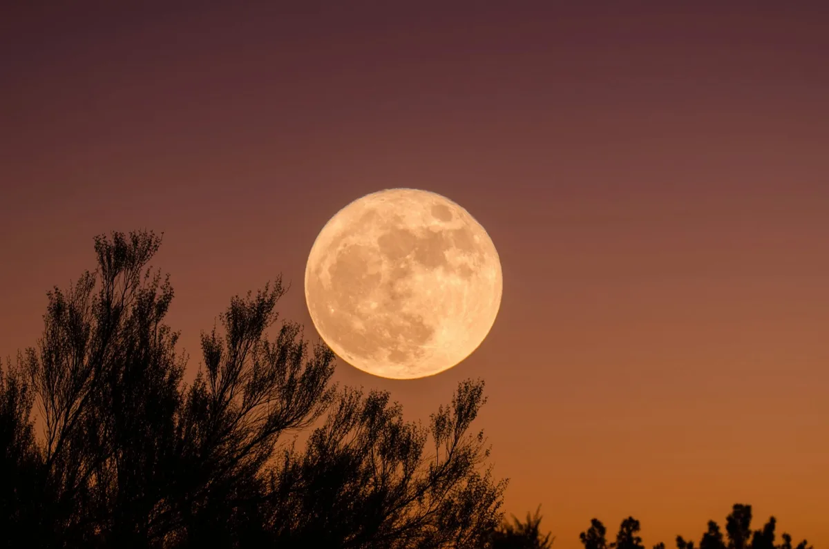 Cuándo es la Luna llena de septiembre 2026 en la Argentina