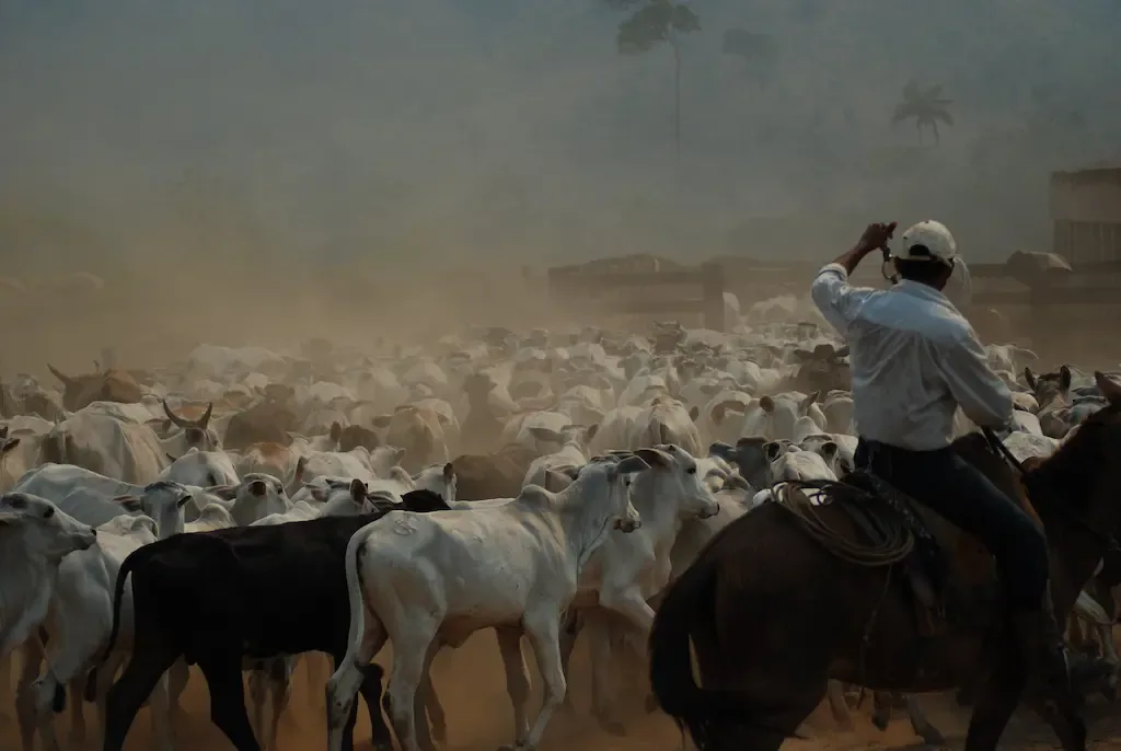 Como a direita capturou a causa animal?