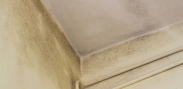 Como limpar o teto do banheiro e acabar com manchas de mofo