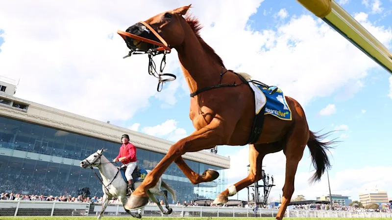 Horse’s death, reigning champion’s fall overshadow finish of the Caulfield Cup