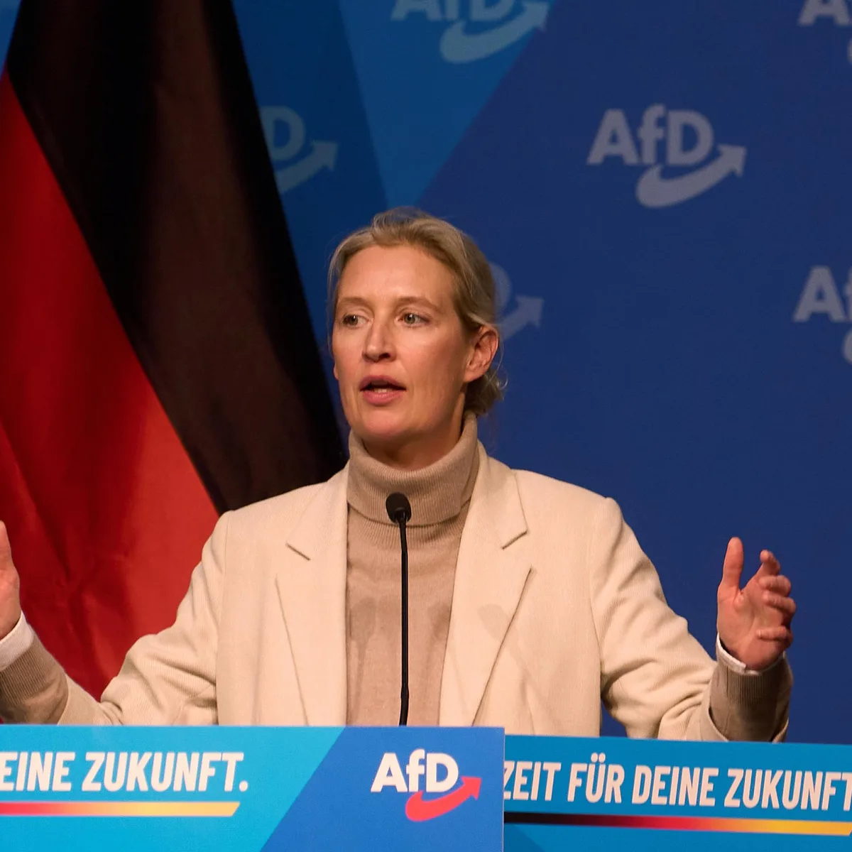 Wahlkampf Sachsen-Anhalt - AfD-Chefin Weidel: Verfassungsschutz in seiner jetzigen Form abschaffen