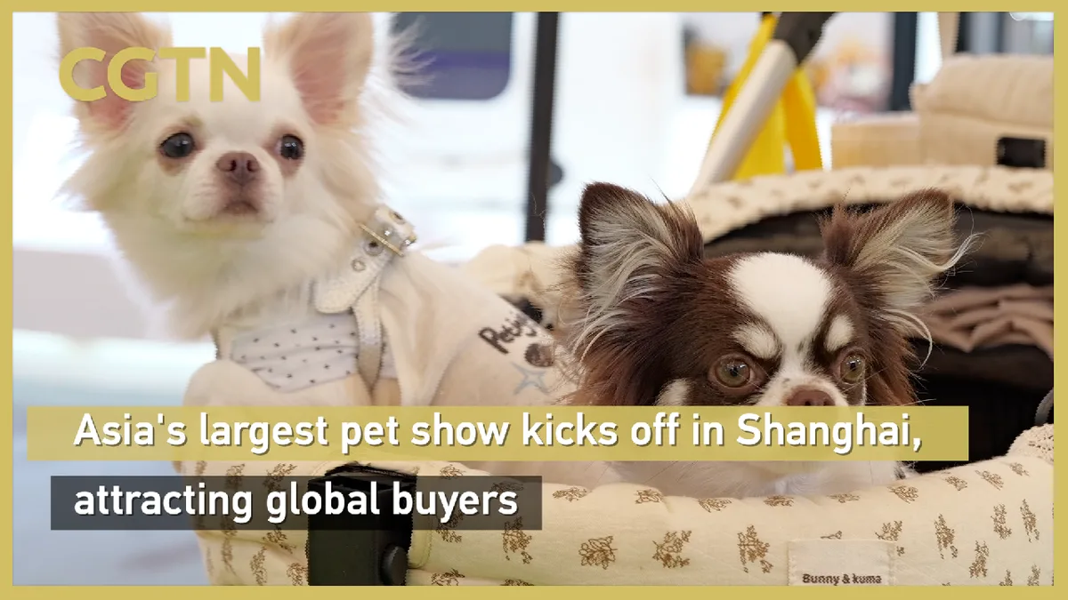 Asia's largest pet show attracts global buyers