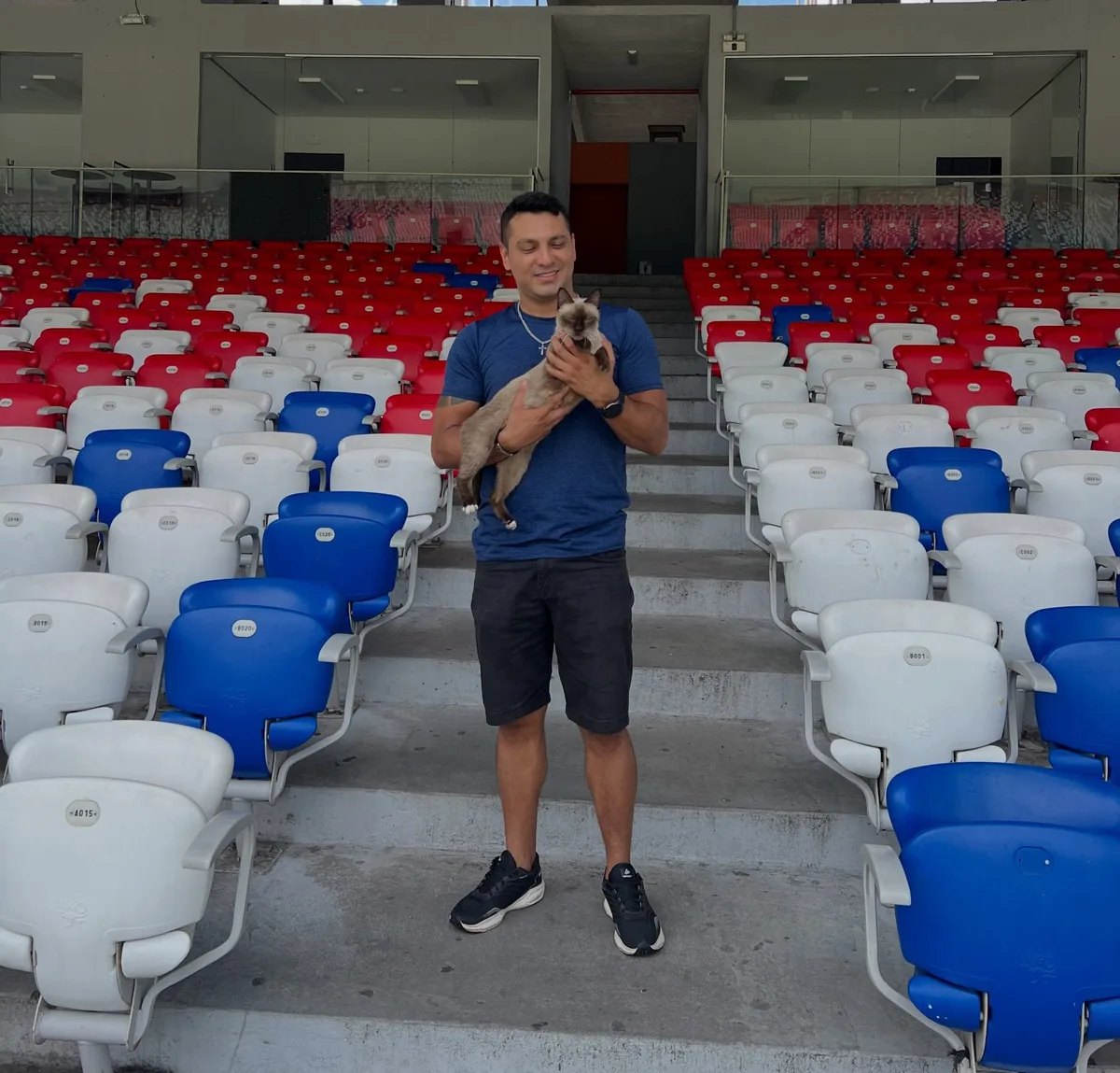 Gata que “assistiu” a Remo x Atlético-MG é encontrada e adotada por torcedor