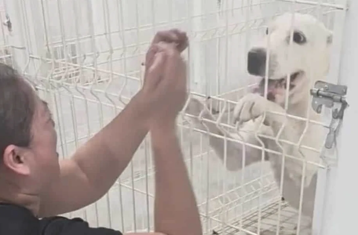 Entre lágrimas, saltillense se reencuentra con dos de sus perros tras caso de maltrato en Fundación Frichem
