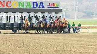 Hijo de Panzer Barcelona y nieto de Water Poet vuelve a la pista luego de 112 días