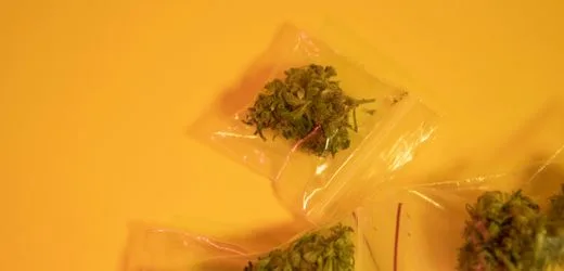 Erfurt: Mann wiegt sein Marihuana auf Supermarktwaage ab