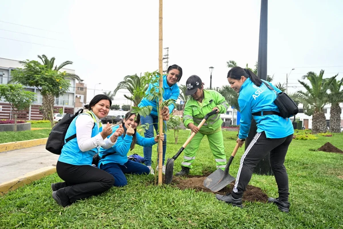Lima alcanzará el millón de árboles plantados en una ciudad que busca ganar más sombra y espacios verdes