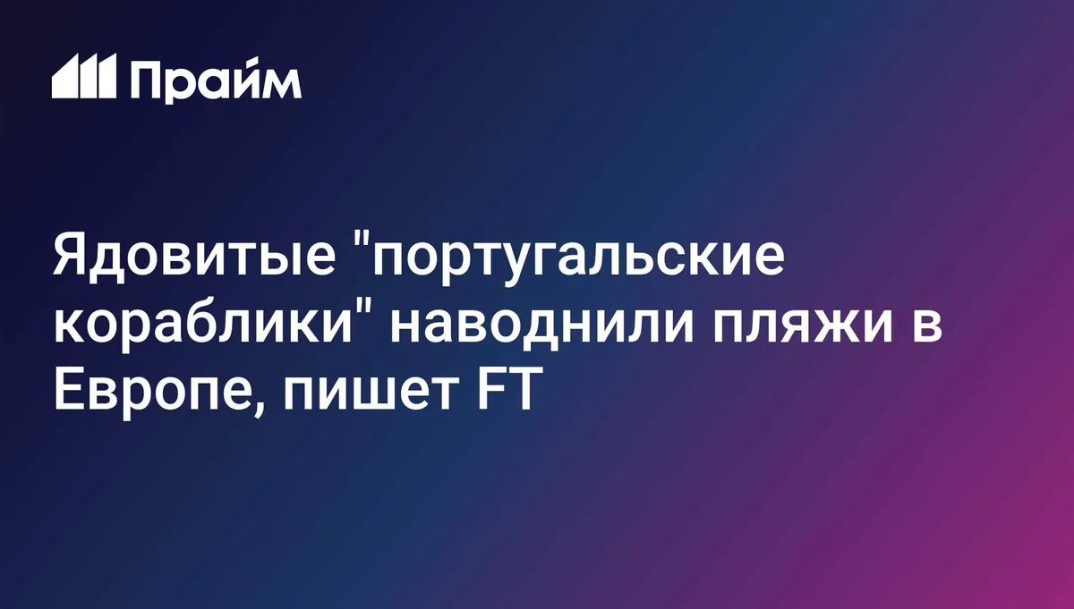 Ядовитые "португальские кораблики" наводнили пляжи в Европе, пишет FT