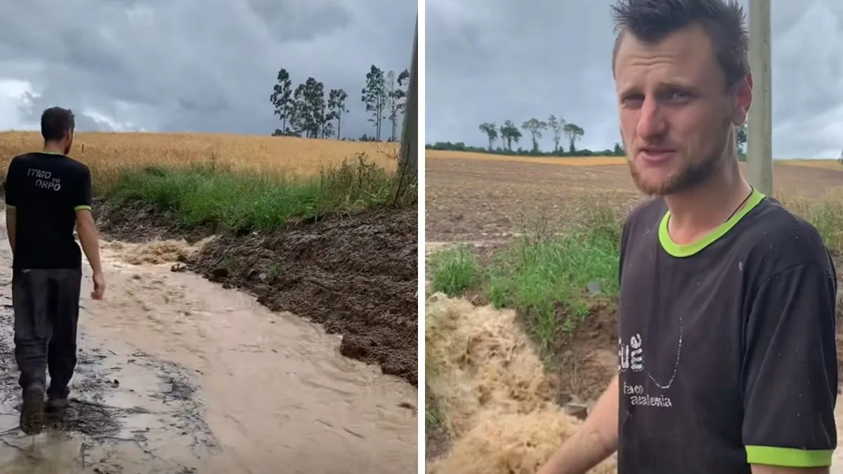 ‘Não tem lavoura que resista’: agricultor mostra chuva devastando áreas rurais e alerta para cenário ‘feroz’ no Planalto Norte de SC