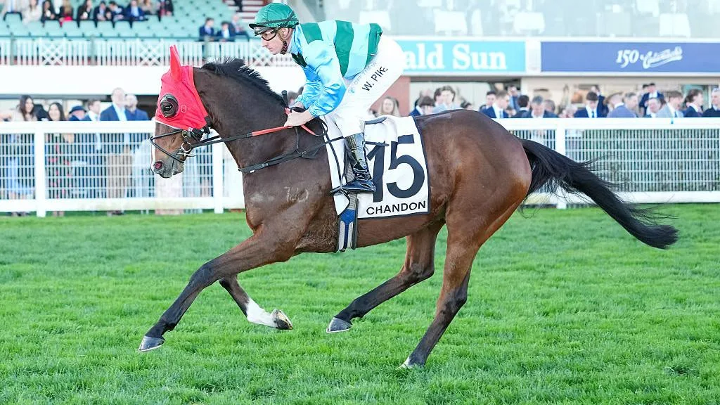Caulfield Cup start on the line for Zakouma in Naturalism Stakes