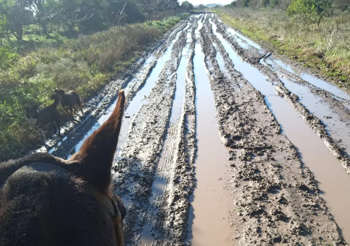 “Tenía un Gol y no podía entrar”: es directora de una escuela rural y recorre 50 kilómetros de más porque un camino tiene pantanos