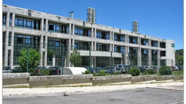 Vila Real: Descarga de águas residuais poderá ter causado morte de peixes