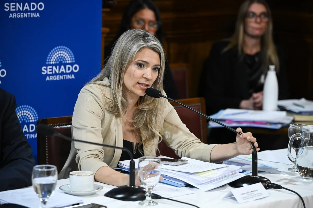 La mano derecha de Karina en Senado describe los cambios en Sociedades y Súper RIGI: “No cometamos el error...”