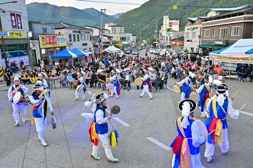 해발 1천330ｍ 야생화에 흥겨운 여름밤까지…정선 축제 풍성