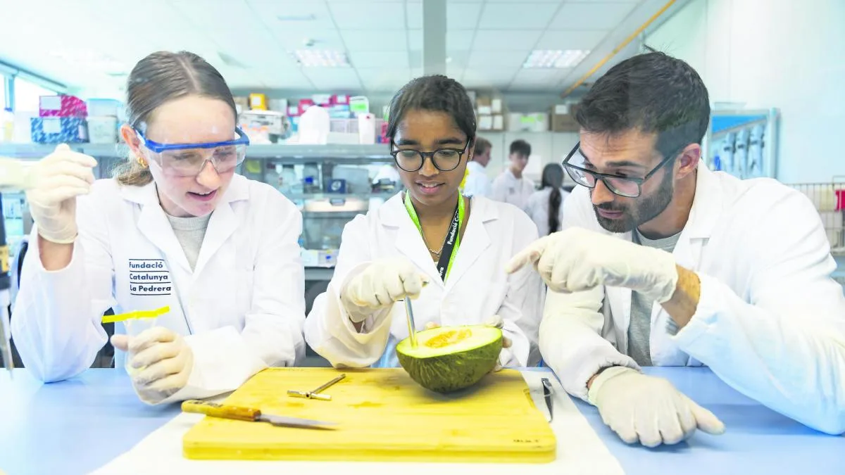 Abrir las puertas de la ciencia a los jóvenes