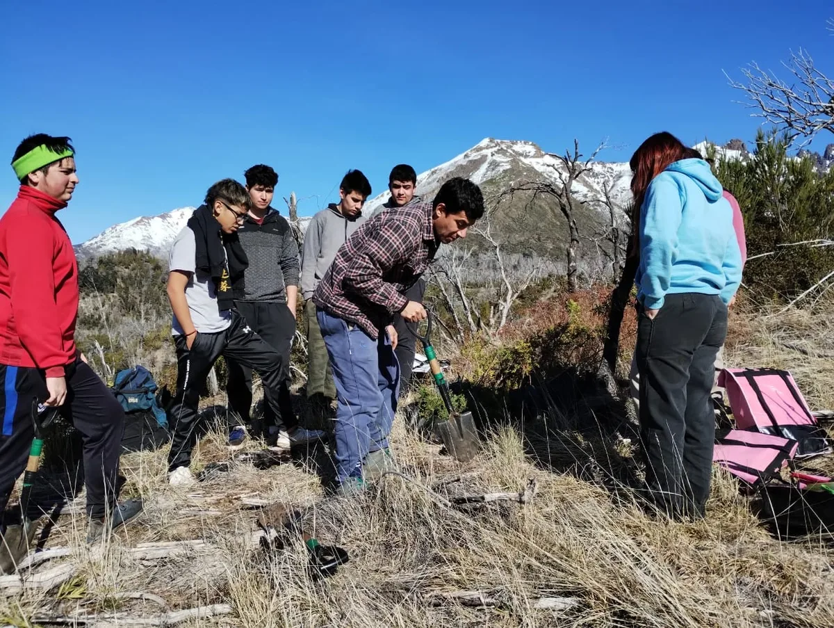 La escuela de Chubut que lleva 20 años reforestando el bosque: sus alumnos ya plantaron más de 32.000 árboles