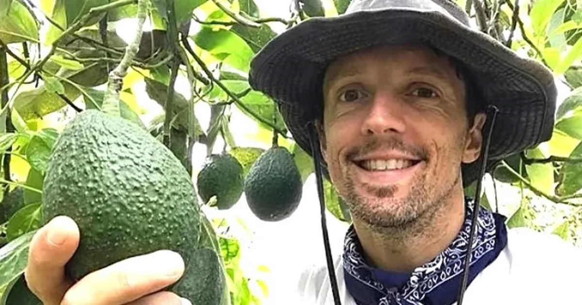 En 2004, el músico Jason Mraz compró un viejo campo en California para descansar; 20 años después lo convirtió en una granja orgánica de 7 hectáreas donde cultiva aguacates, café y fruta que vende localmente