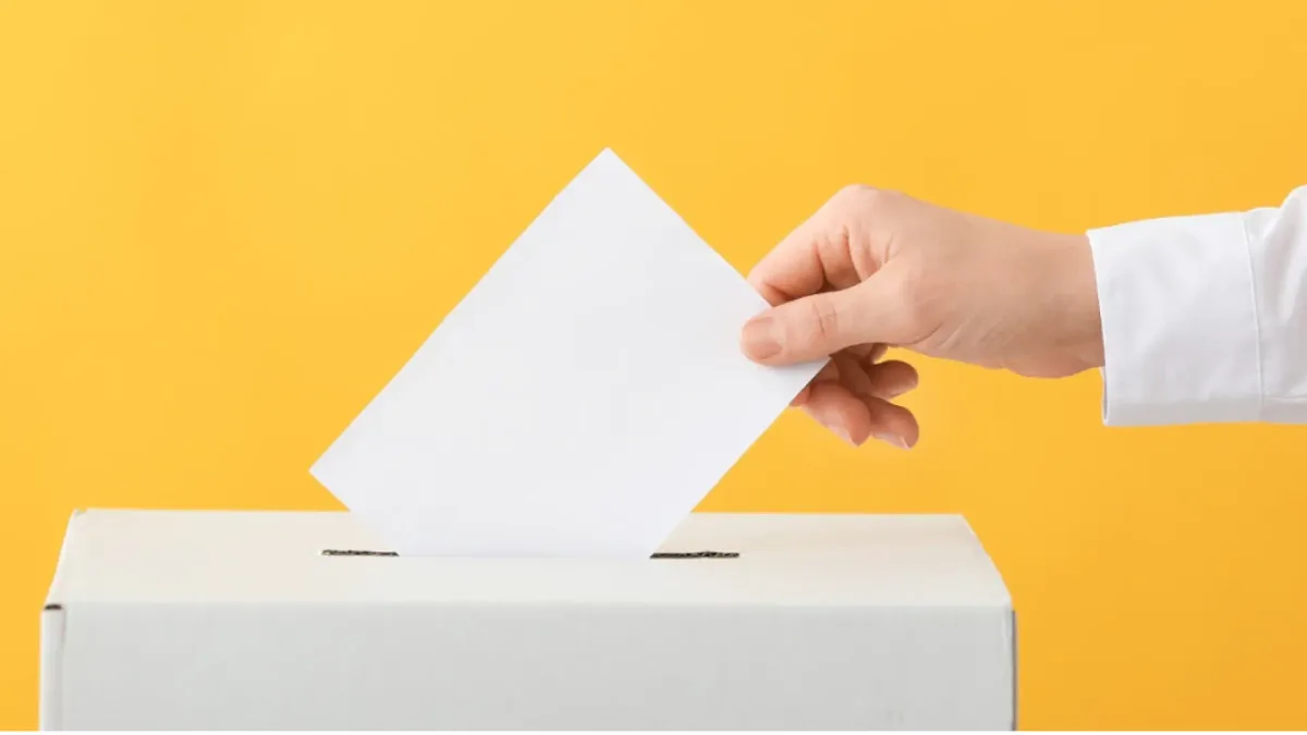 Bulos sobre la elecciones (y lo mal que sientan a la democracia)