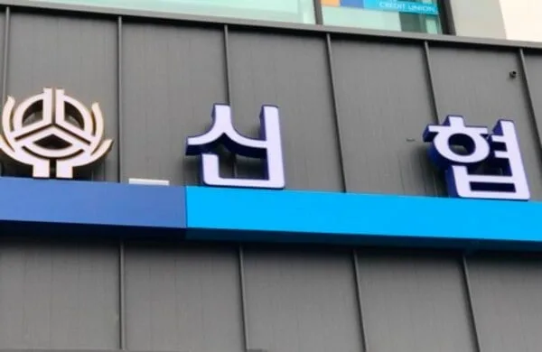 전국 신협 20%가 자본잠식… 우량조합과 합병은 단 한 곳