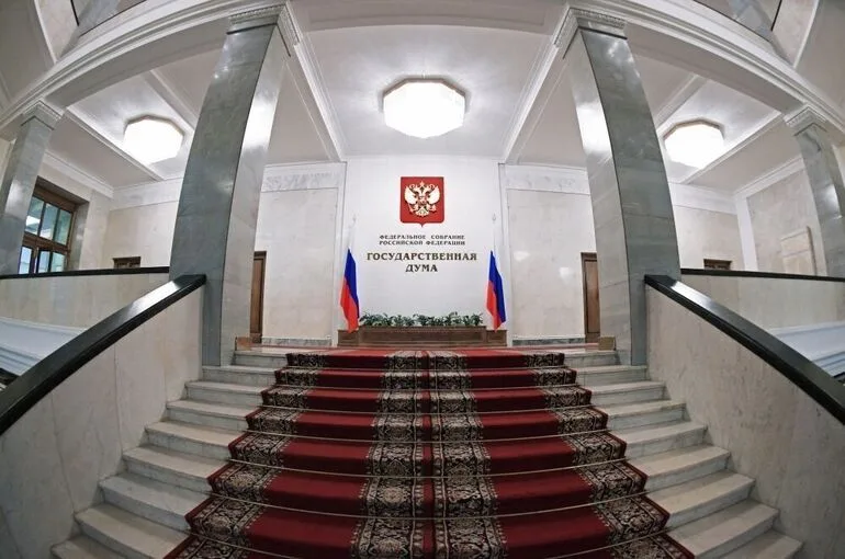 Госдума назначила представителей в Конституционном суде, а также по вопросам миграции и спорта