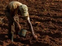 Pedidos de recuperação judicial no agro caem 20,7% no segundo trimestre