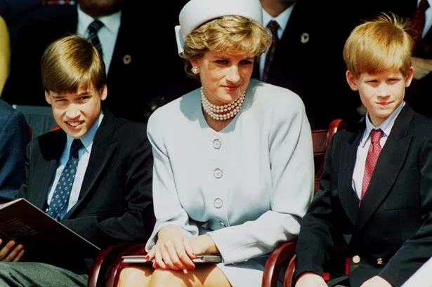 Is Prince Harry profiting off his mother's death? Take our poll and have your say