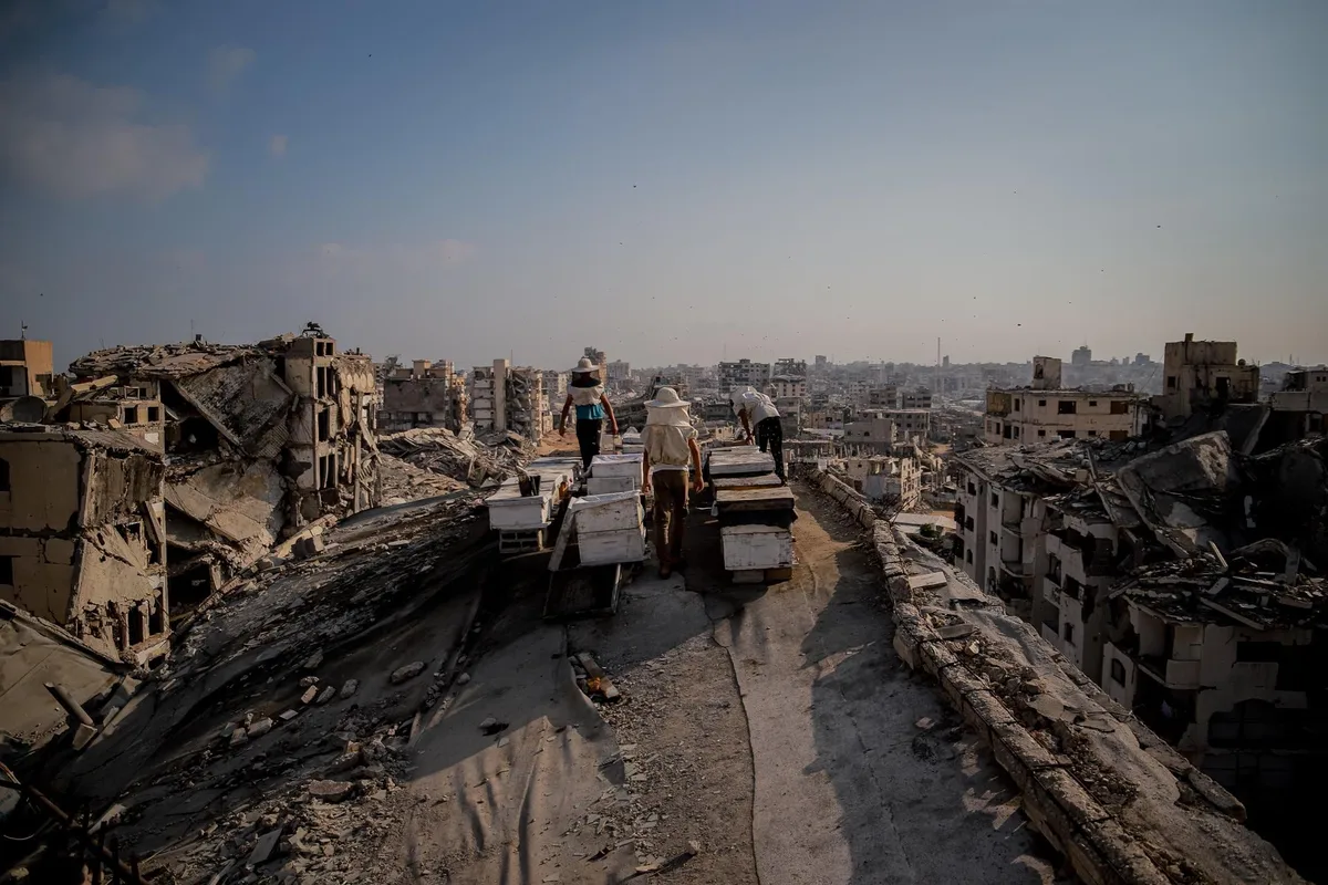 Al menos seis muertos, incluido un menor, y más de diez heridos en un ataque de Israel en la ciudad de Gaza