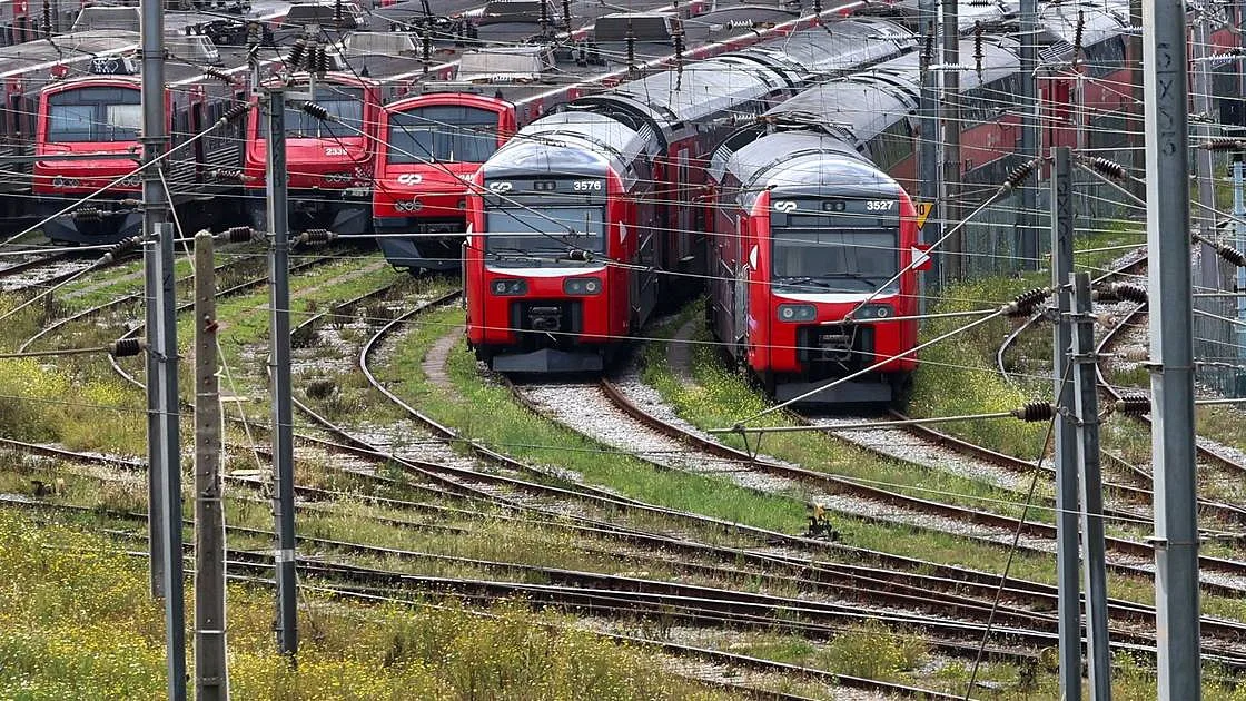 Passe Ferroviário Verde chega a Lisboa e Porto: quem usa apenas comboio vai poder poupar