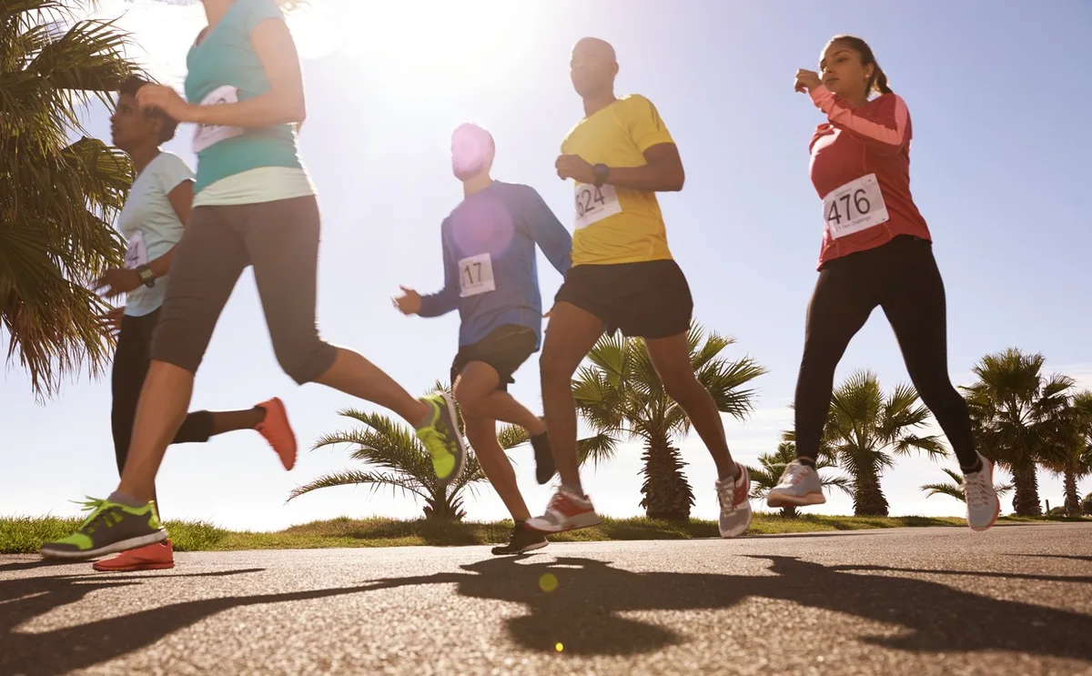 Tudo o que você precisa saber sobre a corrida Eco Run