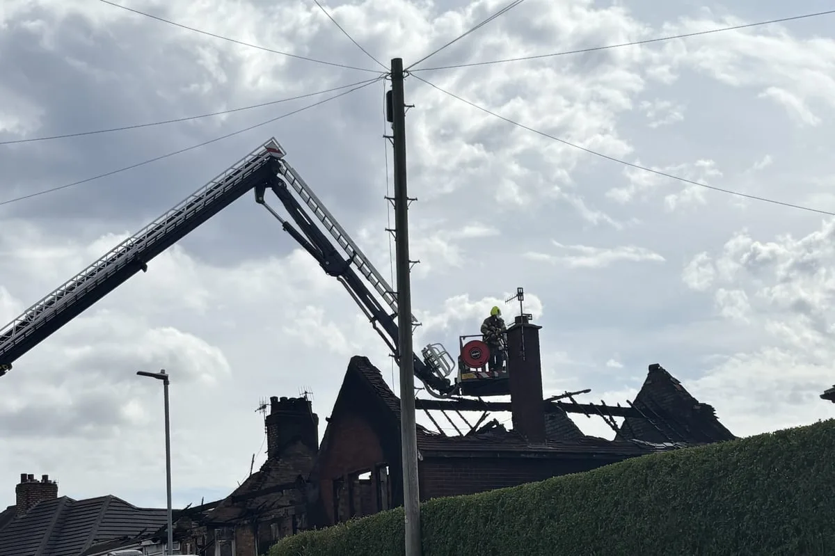 Disposable barbecue caused grass fire which spread to gardens and houses