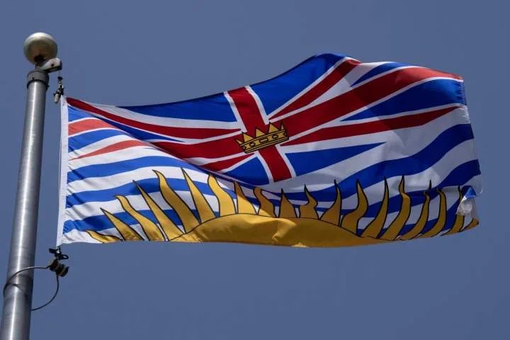 Ousted B.C. Conservative candidate Joachim Agou apologizes for posts deemed racist