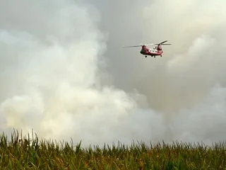 Incendie dans les Landes : reprise de feu dans la nuit, près de 1 600 hectares brûlés