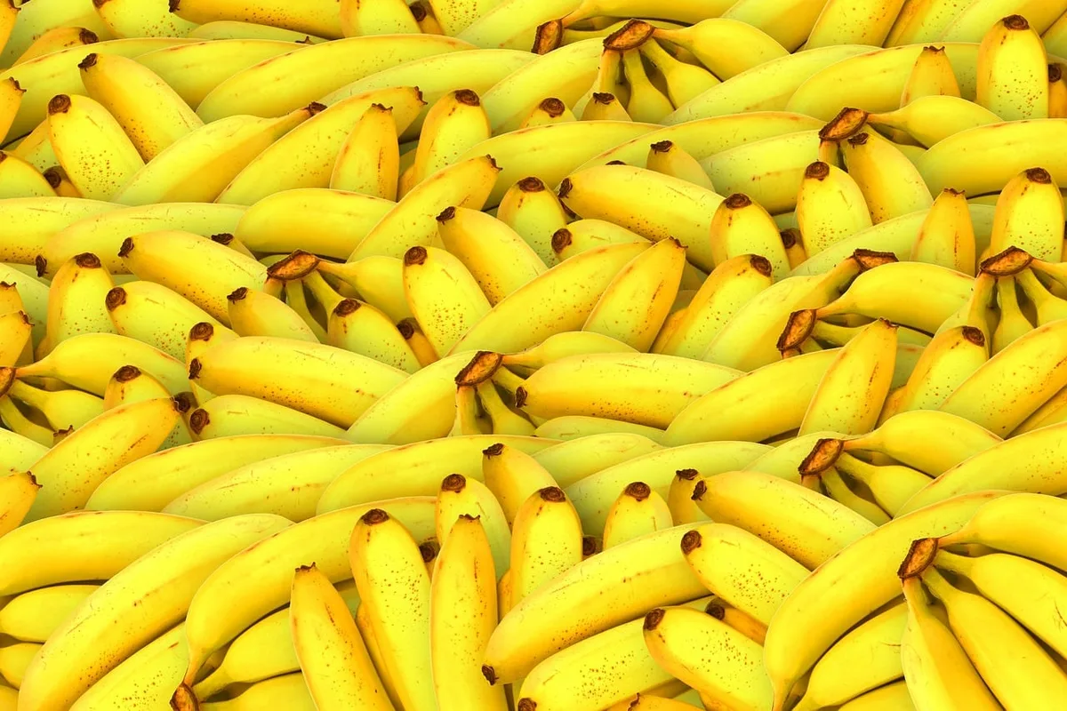 La banana subió casi un 56% en ocho semanas por el cierre del principal paso con Chile