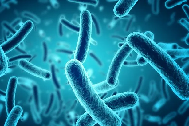 Salmonella outbreak linked to imported eggs leaves one dead and hundreds ill across UK