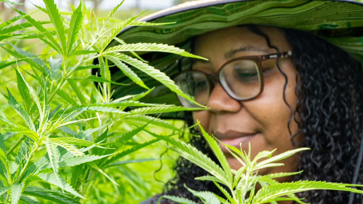 Associação de Niterói recebe autorização para produzir cannabis medicinal
