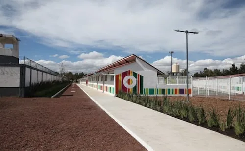 Abre “Xólotl”, nuevo albergue para perros y gatos en CDMX; tendrá capacidad para 600 animales en situación de abandono