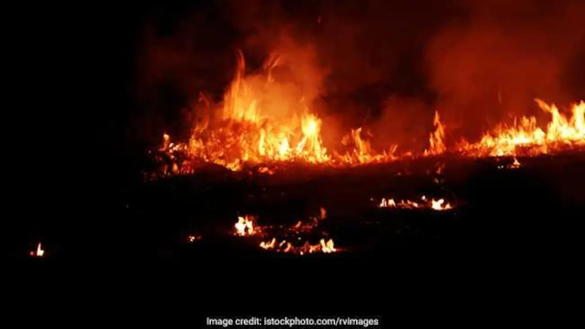 14 Firefighters Injured In Jodhpur Chemical Factory Blast
