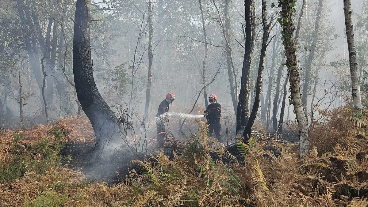 Incendies : le feu dans les Landes « fixé », premiers retours d’évacués