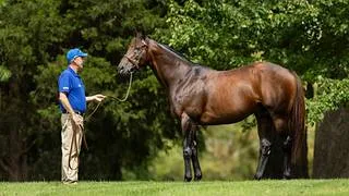 Nieta de un ganador del Kentucky Derby de forma invicto debuta en La Rinconada